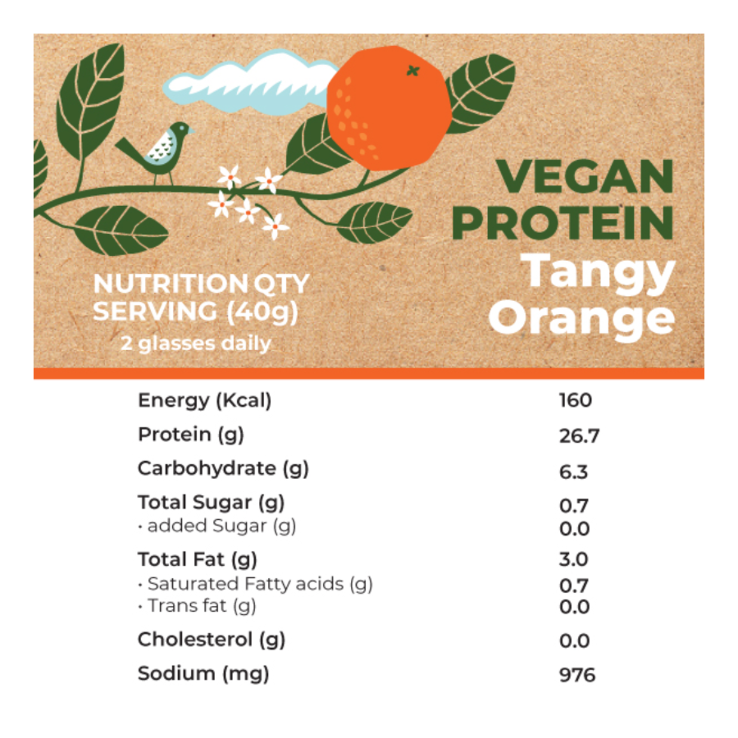 Foodstrong Vegan Protein | Tangy Orange | 480 G