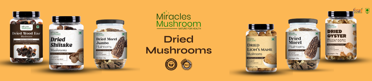 Miracles Mushroom's Dried Mushrooms